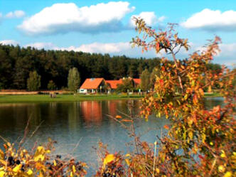 Blick auf den Rothsee, dahinter grüne Wälder, davor gelb- braune Büsche.