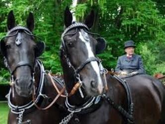 Kutschfahrten Ortner