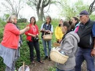 Kräuterpädagogin Hafemeyer