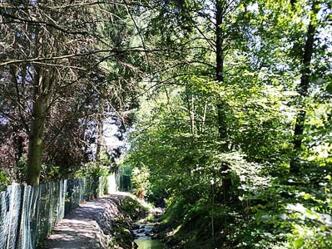 Weg entlang des Hensbaches