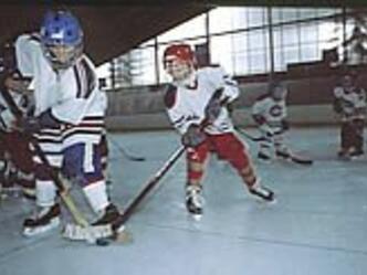 eishockey