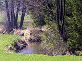 Naturdenkmal Aurikelschlucht - bei Engetried