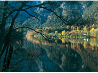 Landschaft am Thumssee.