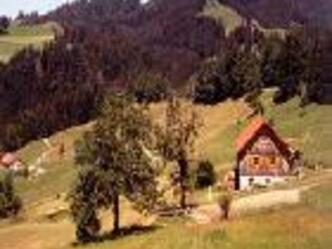 Neugschwender Alm - Allgauer Picknickplätze