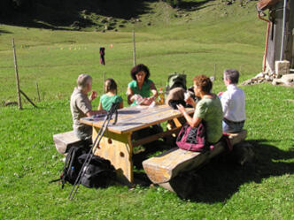 Seelen Alpe - Allgäuer Picknickplätze