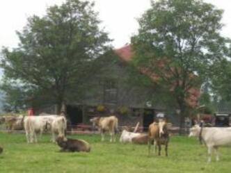 Alpe Sonthofener Hof