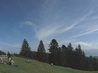Alpkönigblick - Allgäuer Picknickplätze