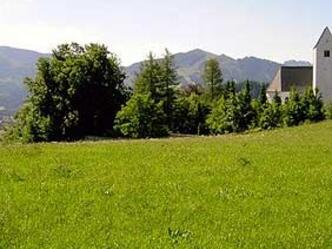 Wir walken an saftigen Wiesen entlang.