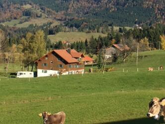 Blick zur Alpe Hohenschwand am Prodel