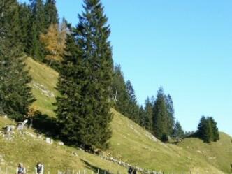 An den Bergen entlang führt unsere Tour.