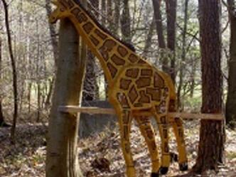 3D Ziel- Typisch einheimisches Tier im Spessart