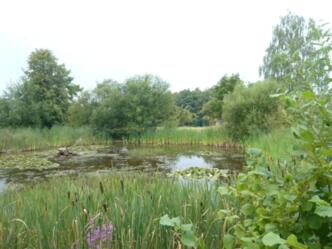 Biptop Sohl im Stadtteil Mechenhard