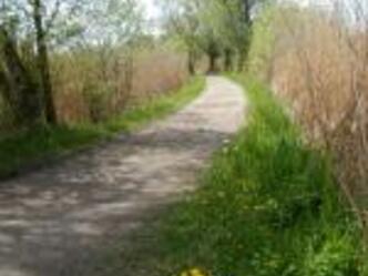 Radweg beim Simssee