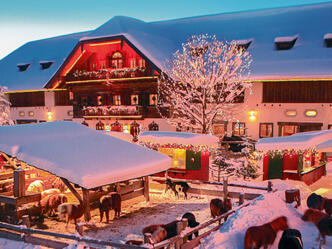 Weihnachten auf Gut Aiderbichl