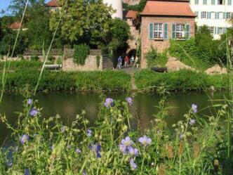 Wertheim Kittsteintor