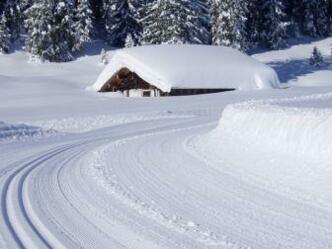 winterliche Verhältnisse auf der Lienbachloipe
