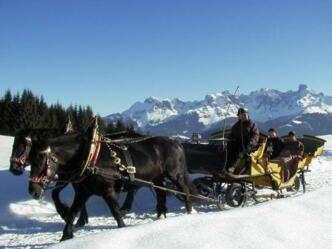Pferdeschlittenfahrt