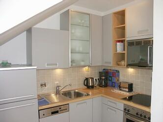 Latschen auf der Reiter Alm