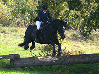 Reitergruppe Satzbach