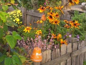 Hildegard von Bingen Garten