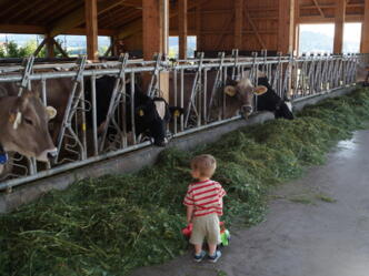Bei uns werden Ihre Kinder schnell zum Landwirt