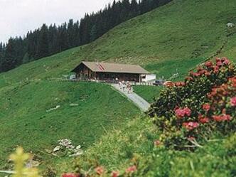Hacklbergeralm