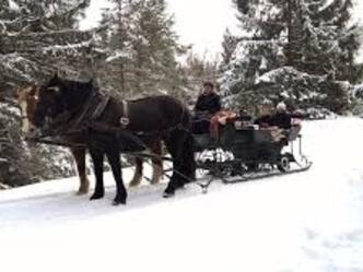 Pferdeschlittenfahrten Pähl