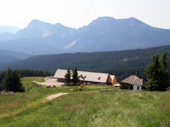Inzell-Stoißeralm: Die grandiose Aussicht zum Chiemsee und Salzburger Land genießen.