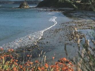 Kinder am Tegernseer Seeufer