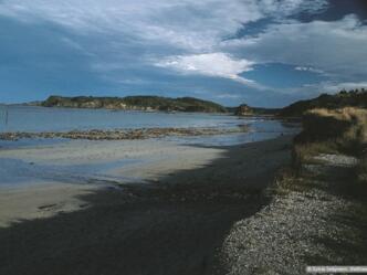 Kinder am Tegernseer Seeufer