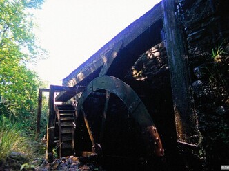 Inmitten grüner Wiesen steht Schloss Triebenbach