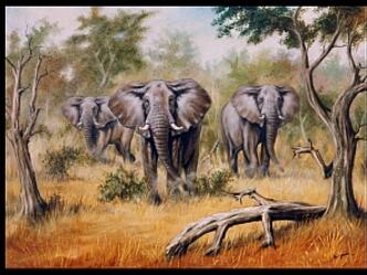 Paul Gasoir - Elefantengruppe