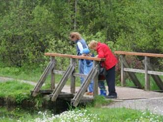 Brücke über den Moosbach - Allgaeuer Picknickplätze