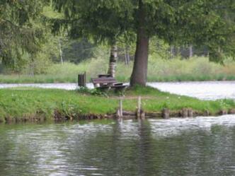 Waldsee - kleine Landzunge