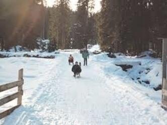 Rodelhänge am Hohenpeißenberg