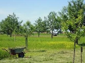 Obstlehrgarten Birkland