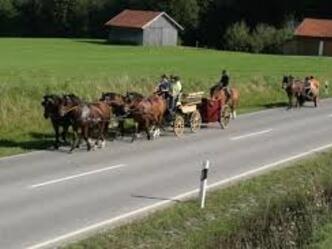 Kutschfahrten Peißenberg
