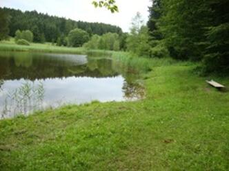 Ettinger Weiher
