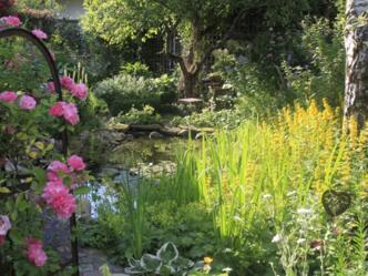 Gartenglück Apfelreich