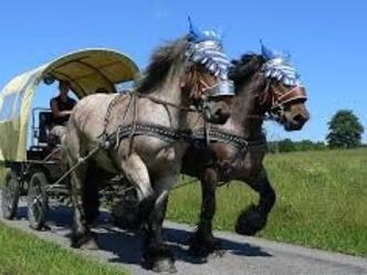 Kutschfahrten Bernbeuren