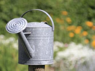 Staudengärtnerei Spatz und Frank