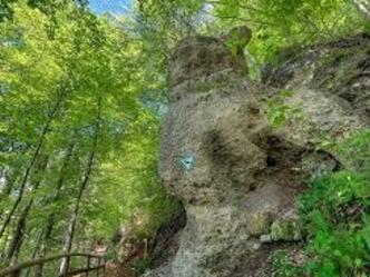 Nagelfluhfelsen mit Aussicht