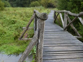 Bohlensteg im Hafenlohrtal