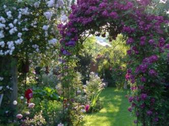 Leimbachs kleine Gartenwelt