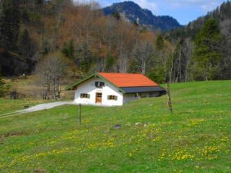 Schronbach-Alm