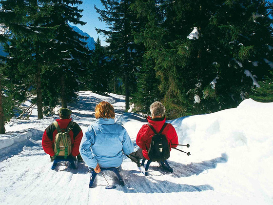 Rodeln &amp; Schlittenfahren in Berchtegsaden