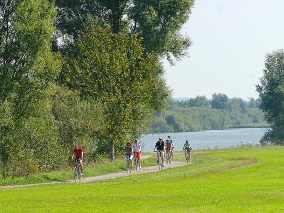 Radln an den Uferwegen der Seen im Fränkischen Seenland.