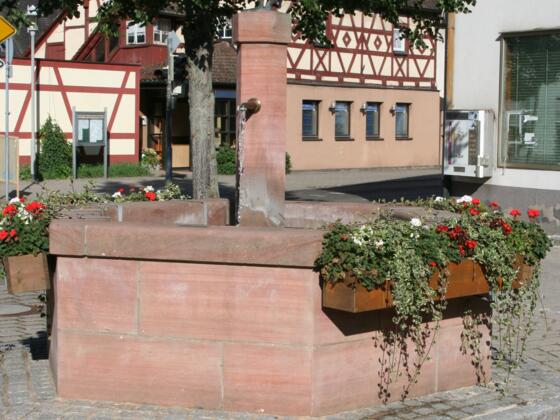 Der Schwan ziert den Brunnen in Schwand