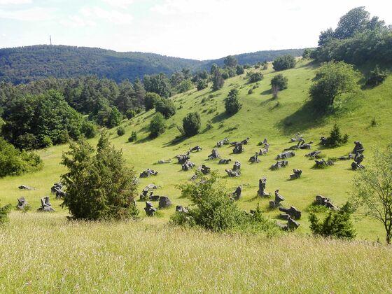 View over Figurenfeld