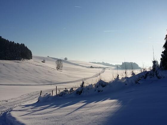 Langlaufloipe Schwabsoien